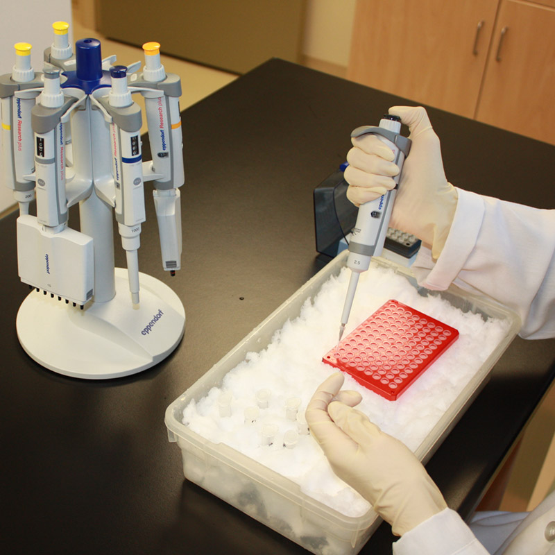 gallery_2 Potato lab testing equipment